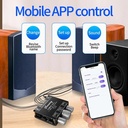 【produk promosi】【YS-E30H】Dengan APP 2.1 Channel Bluetooth 5.1 Amplifier Papan Subwoofer Audio Amplifier Modul DC9-24V - YS-E30H