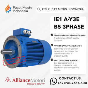 ELEKTRO MOTOR ALLIANCE A-Y3e / AY3E B5 6P 30KW 40HP 3PHASE 380V/ DINAMO ELECTRIC MOTOR/ DINAMO 3PHASE/ DINAMO 3 PHASE/ DINAMO 3PHASE FLANGE/ ELEKTRO MOTOR 3PHASE/ ELECTRO MOTOR 3PHASE/ DINAMO IE1 B5
