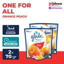 (Twin Pack) Glade One For All Orange Peach Refill 70gr
