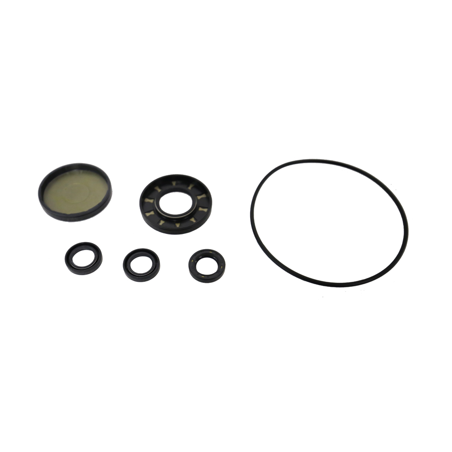 OIL SEALS SET F/C110E 700560011