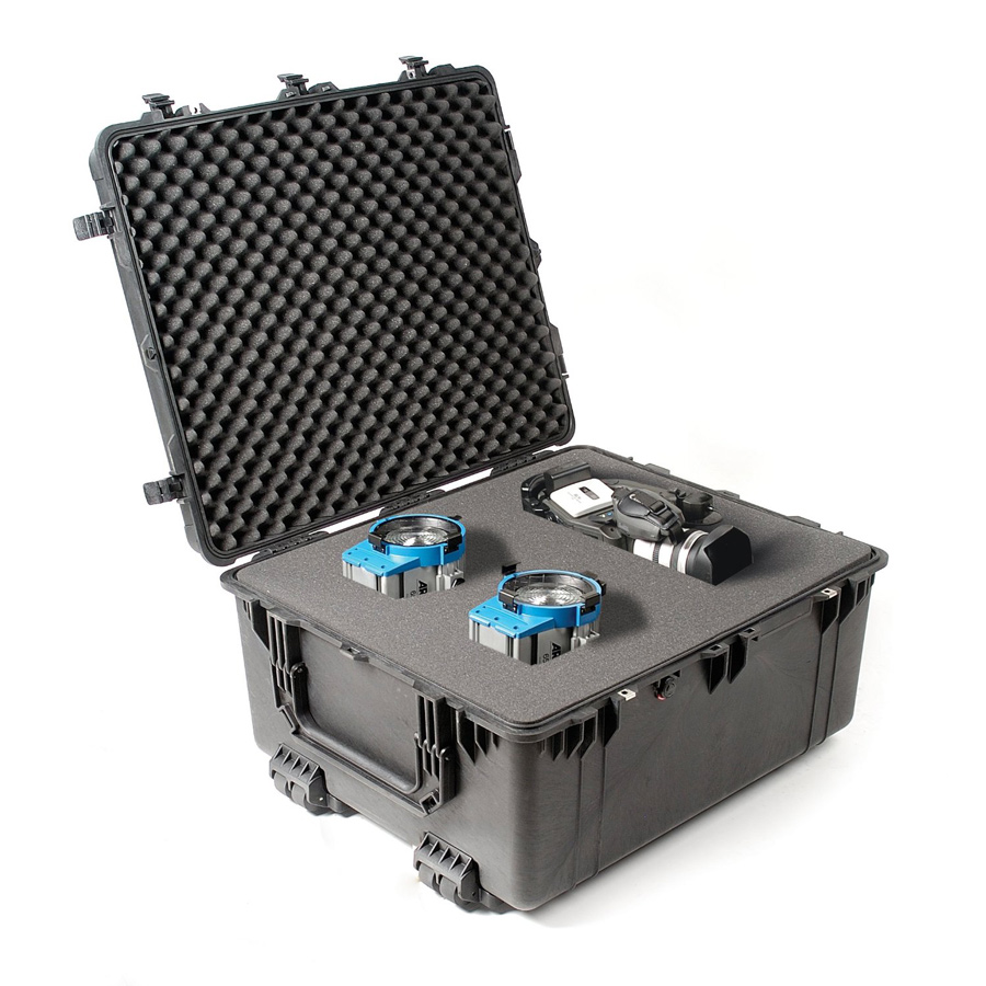PROTECTOR CASE BLACK W/FOAM 1690
