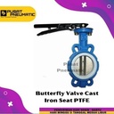 6" Butterfly Valve Cast Iron Seat PTFE Disc SS 304 Size 6 Inch