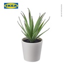 IKEA FEJKA Tanaman Hias Palsu Sukulen dengan Pot 6cm