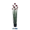 Informa 180X200 cm Set 6 Pcs Seprai Microfiber Tigran