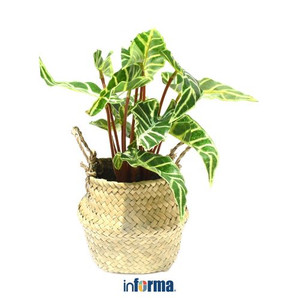 TANAMAN PLASTIK - ARTIFICIAL LEAVES IN POT SK8 33X33X27CM