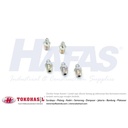 Grease Nipple STRAIGHT (lurus) 1/8" - putih, ECERAN