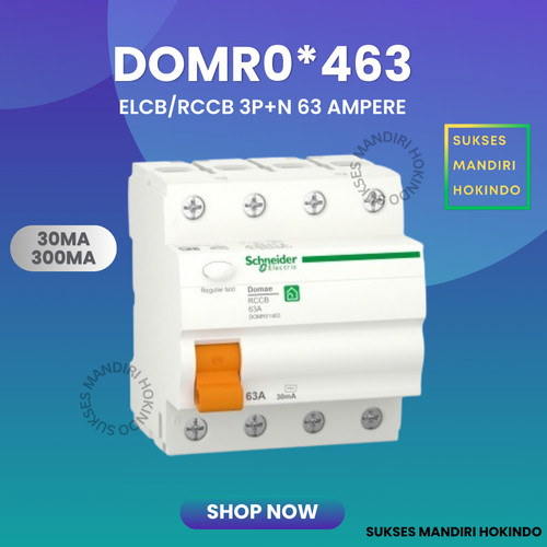 ELCB 4P 63A 4 Phase 63 Ampere 30mA 300mA RCCB Domae Schneider ORI SNI