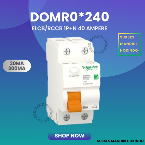 ELCB 2P 40A 2 Phase 40 Ampere 30mA 300mA RCCB Domae Schneider ORI SNI