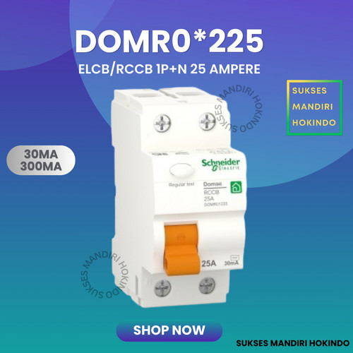 ELCB 2P 25A 2 Phase 25 Ampere 30mA 300mA RCCB Domae Schneider ORI SNI
