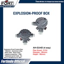 Explosion-Proof Junction Box AH-G3/4D (4way) MERK FORT