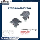 Explosion-Proof Junction Box AH-G3/4B (2 way-through) MERK FORT