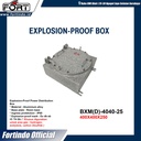 Explosion-Proof Power Distribution Box BXM(D)-4040-25 Merk FORT