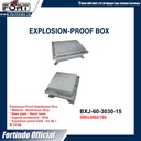 Explosion-Proof Distribution Box BXJ-60-3030-15 Merk FORT