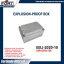 Explosion-Proof Junction Box BXJ-2020-10 Merk FORT