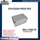 Explosion-Proof Junction Box BXJ-1320-10 Merk FORT