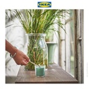 IKEA HEDERSAM Lilin Beraroma Rumput Segar/Hijau Muda Tahan 20 Jam