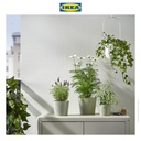 IKEA BROKSPIREA Pot Tanaman Hijau Muda 12cm
