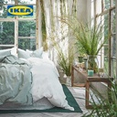 IKEA HEDERSAM Lilin Beraroma Rumput Segar/Hijau Muda Tahan 40 Jam