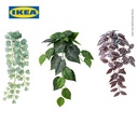 IKEA FEJKA Tanaman Hias Dengan Dudukan Dinding Isi 3pcs