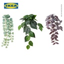 IKEA FEJKA Tanaman Hias Palsu Dengan Dudukan Dinding Set Isi 3pcs