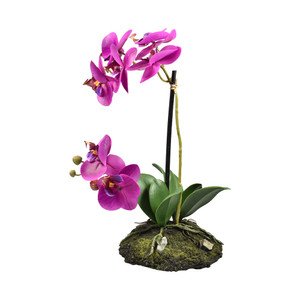 [EZO.0801095] AZKO Arthome 34 Cm Bunga Artifisial Orchid Soil - Putih