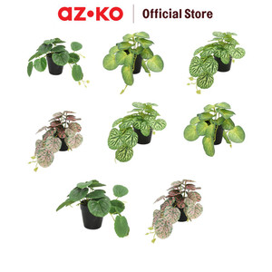 [EZO.0801558] AZKO Forhom Tanaman Artifisial Begonia Dengan Pot Random Tumbuhan Tanaman Buatan Dekorasi Plant Sintetis Pajangan Rumah Serbaguna Hiasan Properti Foto