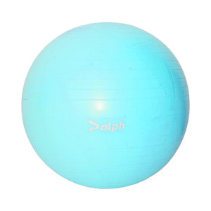 [EZO.0802327] AZKO Alph Bola Fitness V2 Gym Ball Bola Yoga Fitness Ball Aksesoris Fitnes Perlengkapan Olahraga - 55cm