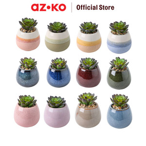 [EZO.0804196] AZKO Arthome Iris Etsuko Tanaman Artifisial Sukulen