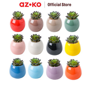[EZO.0804197] AZKO Arthome Iris Akiko Tanaman Artifisial Sukulen