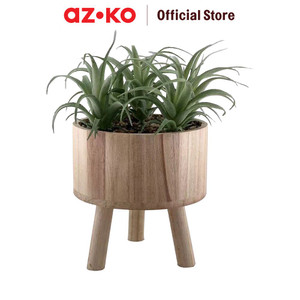 [EZO.0804857] AZKO Arthome Tanaman Artifisial Airplant In Shaw Tripot