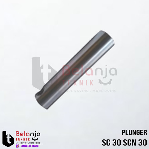 [EZM.3504472] SANCHIN Plunger SC 30 SCN 30 Seher Sanchin SC30 SCN30 Piston Sanchin