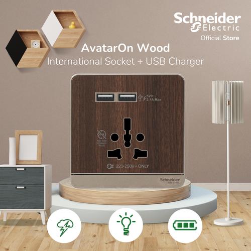 [EZM.4100389] Schneider Electric AvatarOn Int Socket 16A USB 2.1A - E8342616USB_WD