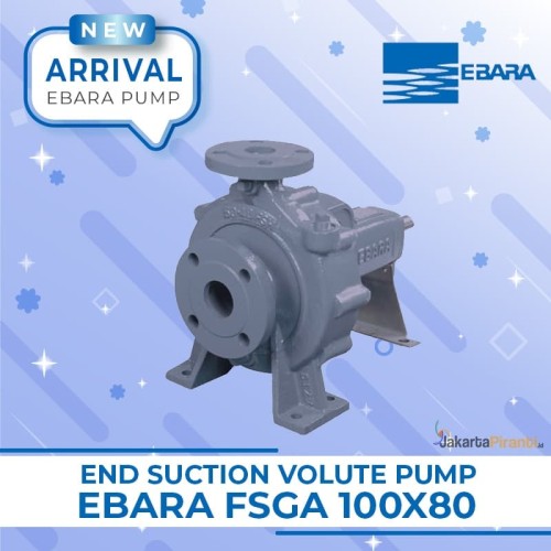 [EZM.5101740] Pompa Centrifugal End Suction Ebara FSGA 100X80