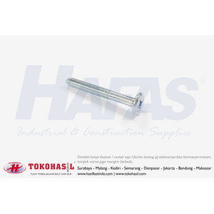 [EZR.2302275] Baut JCB-C M6x30 / M6 x 30 (+) Putih