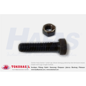 [EZR.2302904] Baut & Mur Inchi (B/N, BN UNC 1/4 x 1 1/4)