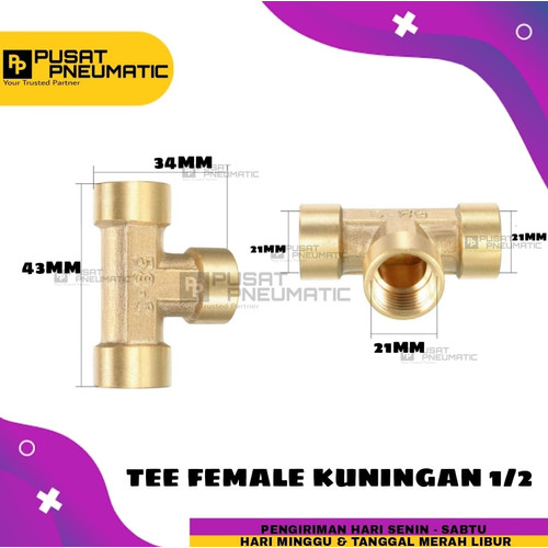 [EZM.9503023] Nepel Tee / Tee kuningan Female drat 1/2"