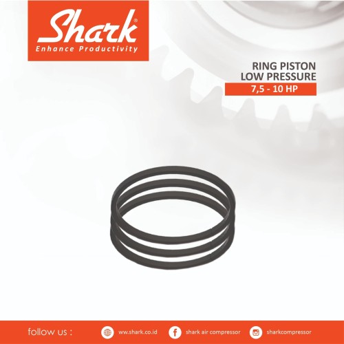[EZM.2400810] Ring Piston Compressor 7,5 s/d 10 Hp