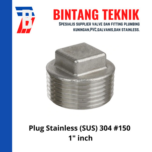 [EZR.2702021] Plug 1" inch Stainless 304 #150