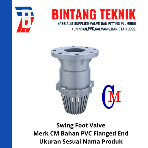 [EZR.2702313] Swing Foot Valve PVC 6" inch CM Taiwan - Flange