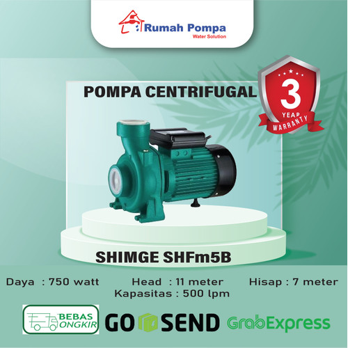 [EZM.1161633] Pompa Centrifugal SHIMGE SHFm5B