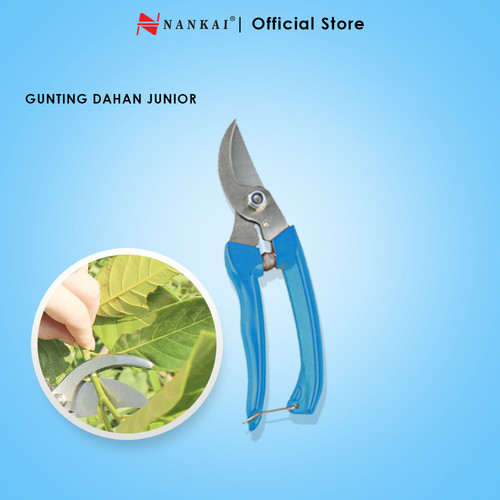 [EZM.8701293] Junior Gunting Dahan 01