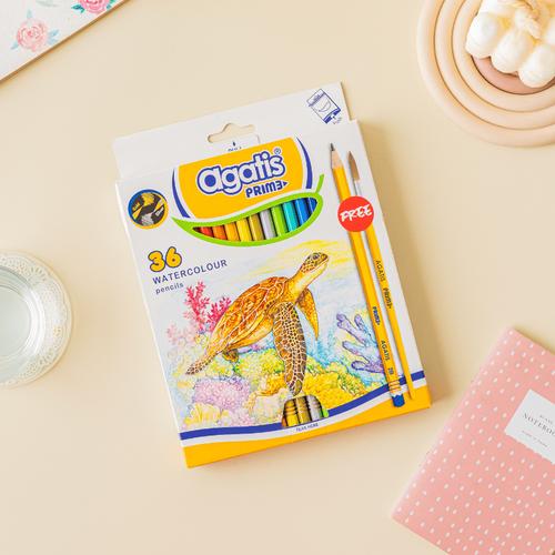 [EZO.7500030] Pensil Warna Watercolor Agatis Prime 36 Warna