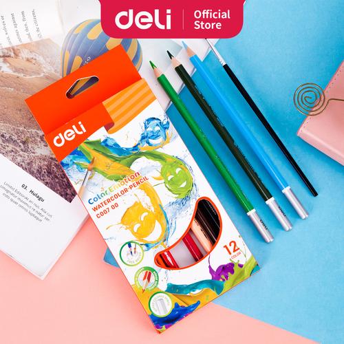 [EZO.7001537] Deli EC00700 Pensil Warna-Painting 12C