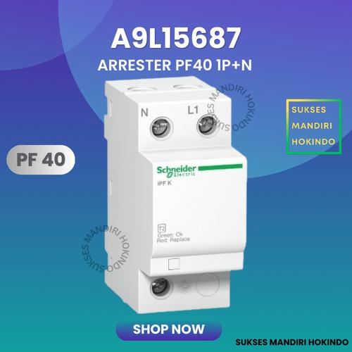 [EZM.1110070] Surge Arrester PF40 1P+N 1 Phase 40kA Schneider A9L15687