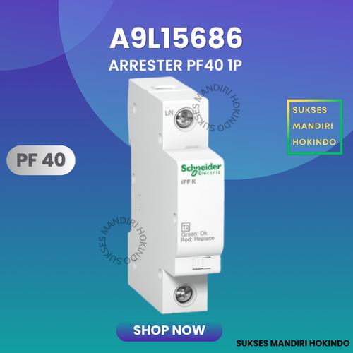[EZM.1110071] Surge Arrester PF40 1P 40kA 1 Phase Schneider A9L15686