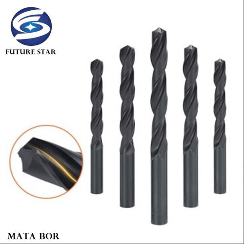 [EZM.3700377] MATA BOR BESI HSS 12MM / HSS Steel Drill Bits