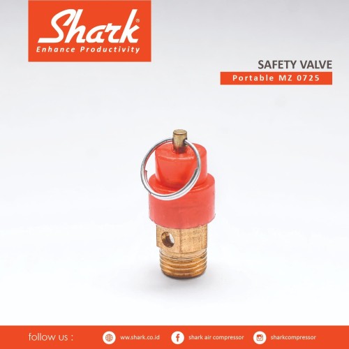 [EZM.2400789] Savety Valve Kompressor MZ 07-25 Shark