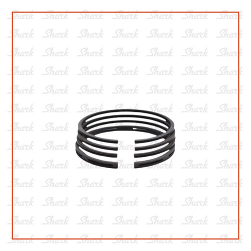 [EZM.2400509] Ring Piston Kompresor Shark 10HP Medium