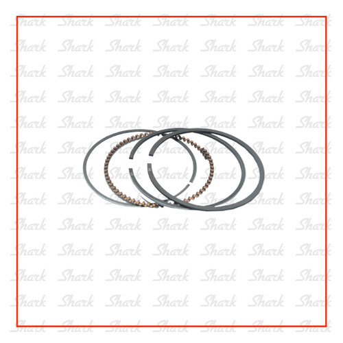 [EZM.2400540] Ring Piston Engine SP 200