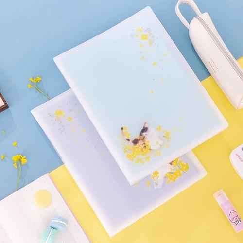 [EZO.7002577] Deli Display Book File Buku Ukuran A4 40 halaman 72608